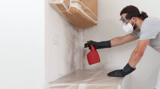 Professional Bathroom Mold Removal technician working in West Orange, NJ