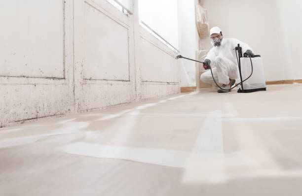 24/7 Emergency Bathroom Mold Removal experts in West Orange, NJ